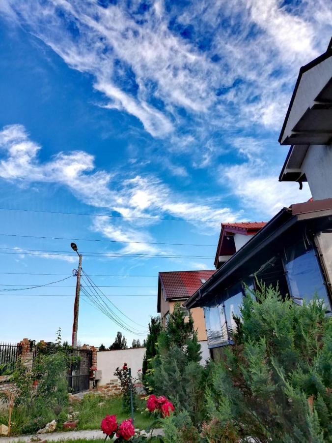 Casa Alba Hotel Navodari Ngoại thất bức ảnh